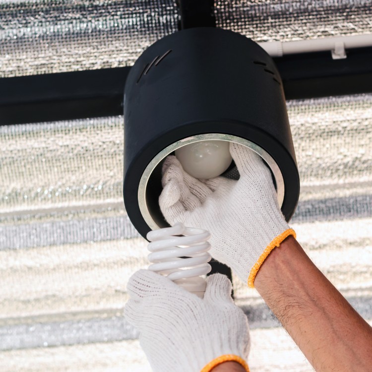 Electrical in McKinney, TX